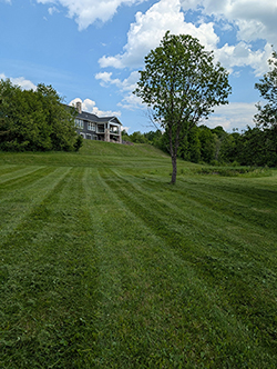 A lush green lawn cared for by Superior Lawn Care LLC