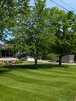 A lush green lawn cared for by Superior Lawn Care LLC
