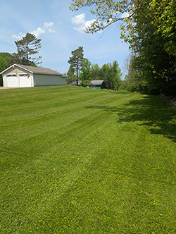 A lush green lawn cared for by Superior Lawn Care LLC